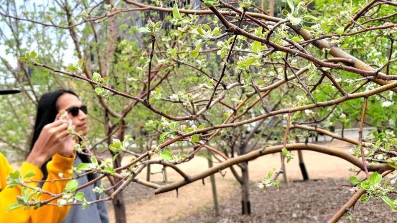 A hand touching a tree branch.
